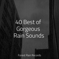 Birds in the Forest - Sample Rain Library & Water Sound Natural White Noise & Serenity Spa Music Relaxation