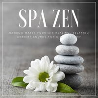 Pets - Relax 4 Relax
