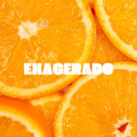 Exagerado - TENDENCIA DJ