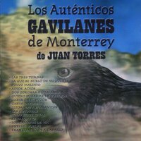 Las Tres Tumbas - Los Auténticos Gavilanes de Monterrey de Juan Torres