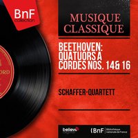 String Quartet No. 14 in C-Sharp Minor, Op. 131: VII. Allegro - Franz Beyer & Franzjosef Maier & Schäffer-Quartett & Kurt Schäffer & Kurt Herzbuch & Schäffer-Quartett, Kurt Schäffer, Franzjosef Maier, Franz Beyer, Kurt Herzbuch & Ludwig van Beethoven
