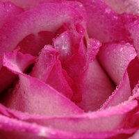 Serene Precipitation - Yoga Workout Music