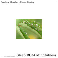 Solfeggio Whispers Amidst Neural Waves - Sleep BGM Mindfulness