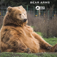 Bear Arms - Js Aka the Best