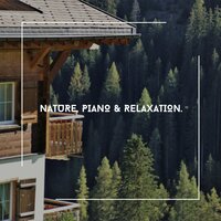 Never Give In - Acoustic Piano Club