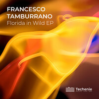 Gator - Francesco Tamburrano & Guzz (ARG)