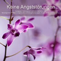 Romantische Gitarrenmusik - Meister der Entspannung und Meditation
