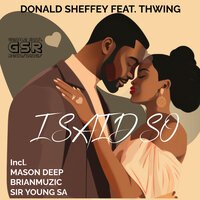 I Said So - Donald Sheffey & Thwing & BrianMuzic