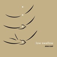 Oubli ordinaire - Ana Kap