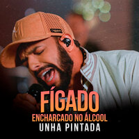 Fígado Encharcado no Álcool - Unha Pintada