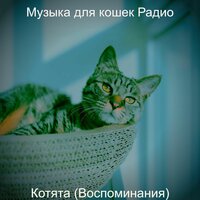 Звуки (Сонные кошки) - Музыка для кошек Радио