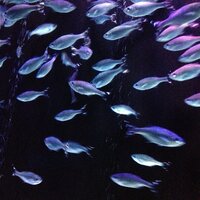 Waterholes - waterleftfrog