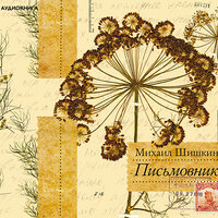 Шишкин Михаил Павлович. «Письмовник». Часть 6 - Михаил Шишкин
