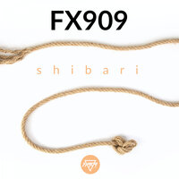 Uncanny Valley - FX909