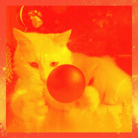 Background for Friendly Cats - Música para dormir Gatos