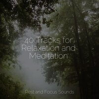 Shining Dawn - Yoga & Mindfulness Mediation World & Meditation Zen