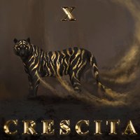 Shamanic Lullaby (Intro) - x