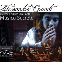 O bone Jesu Christe (Arr. L. Stras) - Musica Secreta