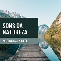Quiet Thoughts - Nature Queen