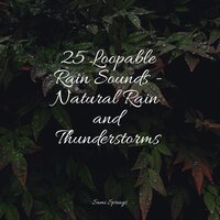 Crashing Waves - Sounds of Rain & Thunder Storms & Musica Relaxante & Exam Study Classical Music
