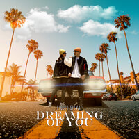 Dreaming of You - Liquid Silva