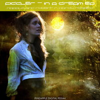 In a Dream - Fiddler
