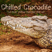 Chilled Crocodile - Lofi Beats & Chillhop Chancellor & Chill Lofi