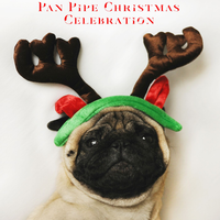 Hark the Herald Angels Sing - San Remo Pan Pipe Orchestra