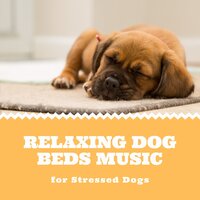 Okay (Lullaby) - Music for Dogs Collective