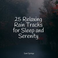 River Birds - Spa & Spa & Classical New Age Piano Music & Ready Baby Music!
