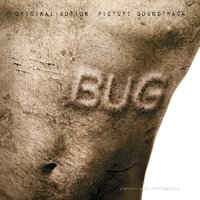 I Fell in Love - Susan Tedeschi