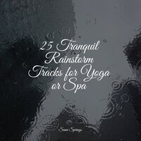Lapping Waves - Natural Sample Makers & Deep Sleep Music Experience & Ocean Sounds