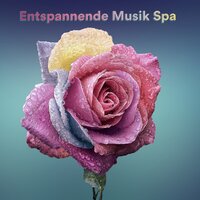 Haze Cleansing - Entspannende Musik Wellness & Meditationsmusik Sammlung & Entspannende Musik Spa