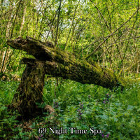 Lovely Bed Rest - Relaxing With Sounds of Nature and Spa Music Natural White Noise Sound Therapy
