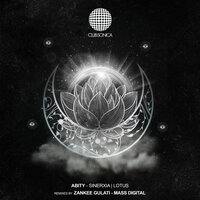 Sinerxia - Abity