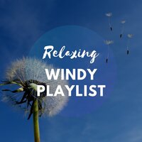 blow - Zen Music Garden & PAudio