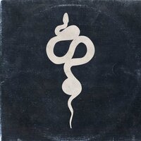 Black Mamba Meditation Part 7 - AllNoise