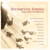 Where Is Your Heart - Roberto Occhipinti