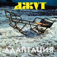 Политкорректность - Адаптация