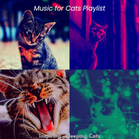 Music - Inspiring - Music for Cats Playlist