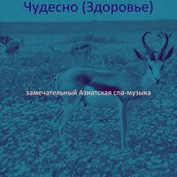 Музыка (Массаж) - замечательный Азиатская спа-музыка