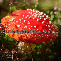 Focus Functional Storm - Rain for Deep Sleep