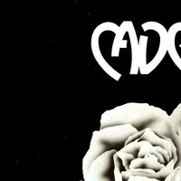 Do It - Cadence