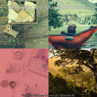 Shakuhachi and Koto Soundtrack for Spa Packages - Relaxing Spa Music Ambience