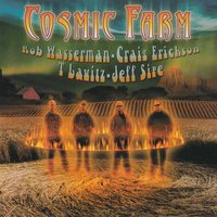 Heavenly Love - Craig Erickson & T Lavitz & Jeff Sipe & Rob Wasserman