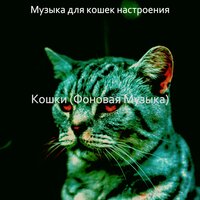 Настроения (Кошки) - Музыка для кошек настроения