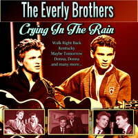 Oh So Many Years - The Everly Brothers