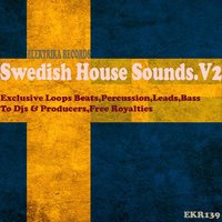 Swedish House Sounds.V2 Beats 128 - Patrick Seeker