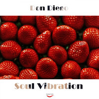 Soul Vibration - Don Diego