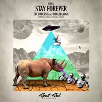 Stay Forever - Cucumbers & Irina Makosh & Nubah